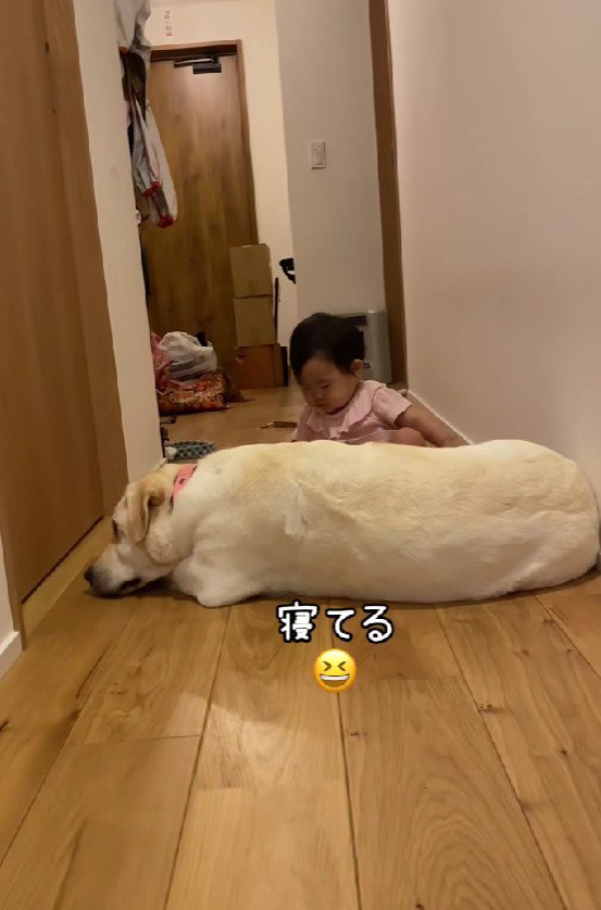 またまた廊下が封鎖されてる