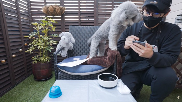 男性の手元をのぞく犬