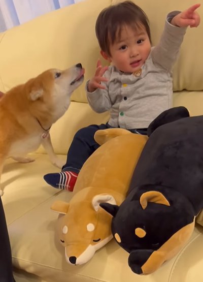 赤ちゃんの手を舐める犬