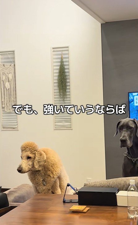 強いて言うなら…