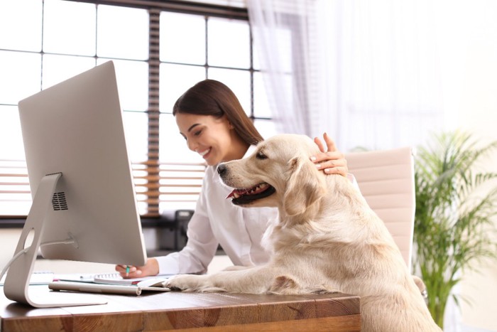 一緒にモニターを見る犬と女性