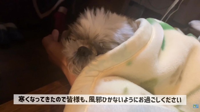 幸せそう♡