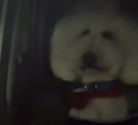 「全然見てませんけど…」