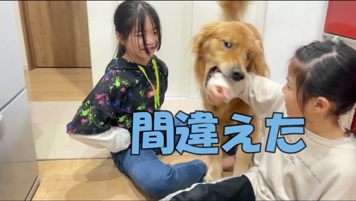 白い服の女の子の腕を咥える犬