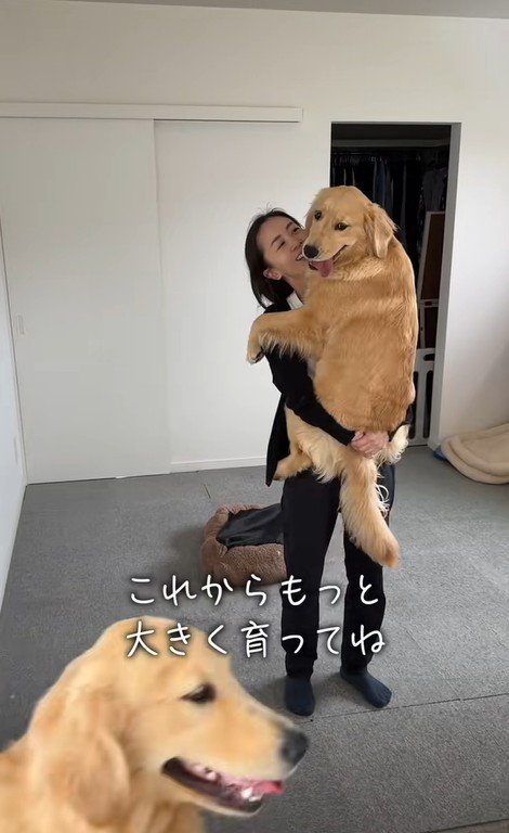 ちあちゃん&ひまわりちゃんの成長7