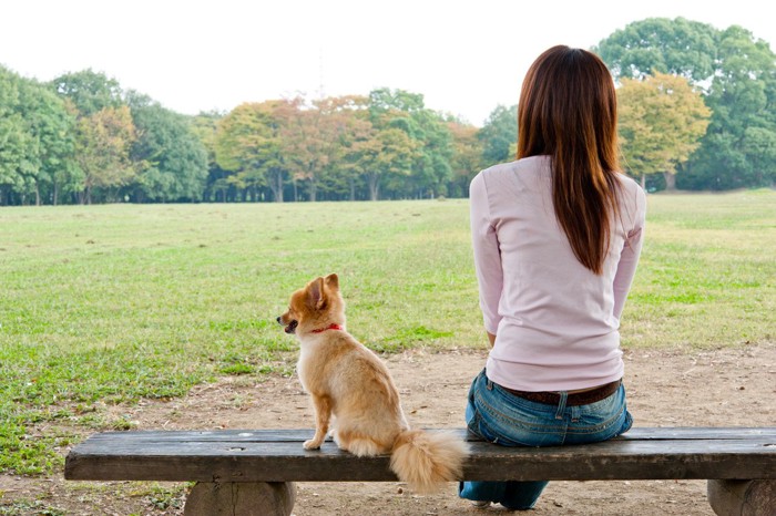 ベンチで休む人と犬の後ろ姿