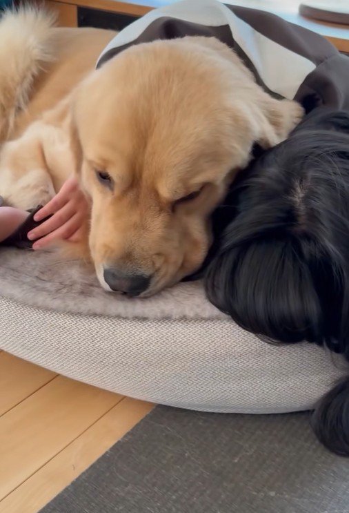 困っている姿も可愛い！