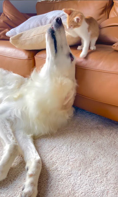 微笑ましいふれあい♪