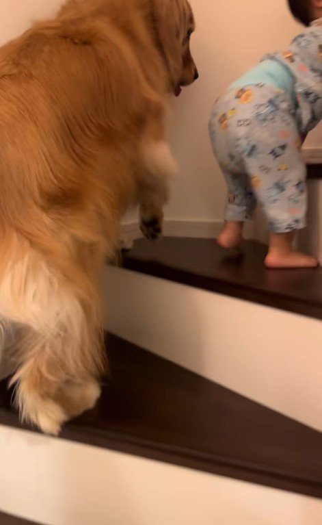 階段を登る男の子とラビーくん3