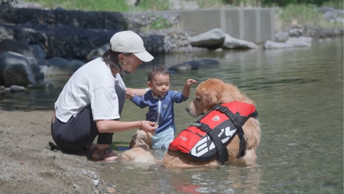 水遊びをする赤ちゃんと犬