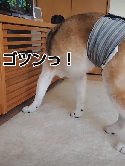 頭をぶつけても…