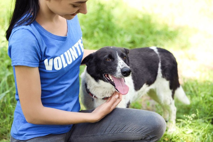 女性に撫でられる保護犬