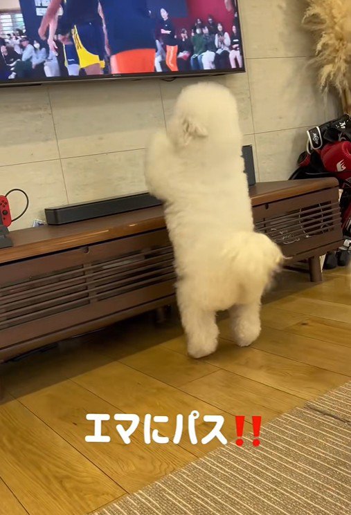 「僕にパスして！」