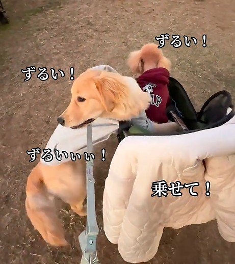 「一緒に乗りたい!」