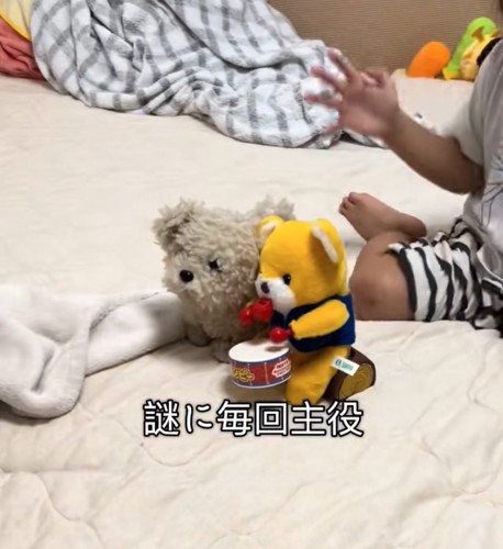 ぬいぐるみ