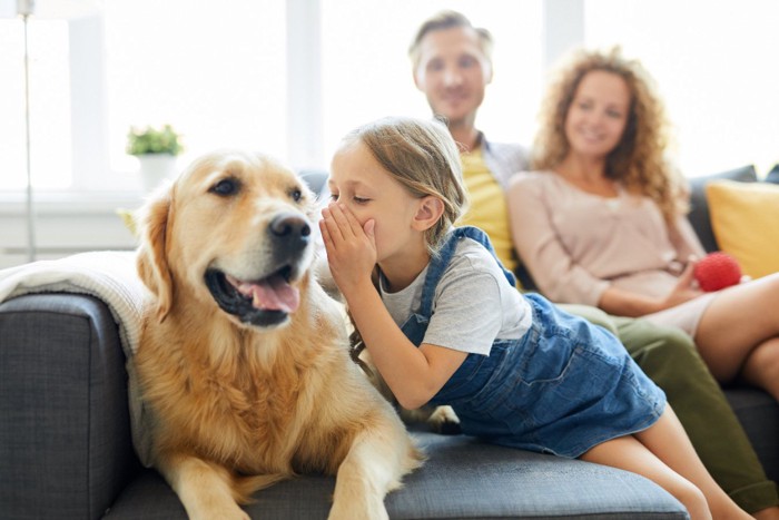 話をする女の子と犬