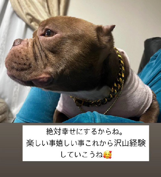 目にも生気が戻った