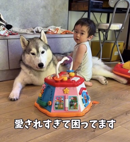 犬のそばに座る赤ちゃん
