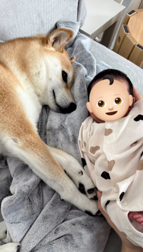 赤ちゃんの隣に寝転がる犬