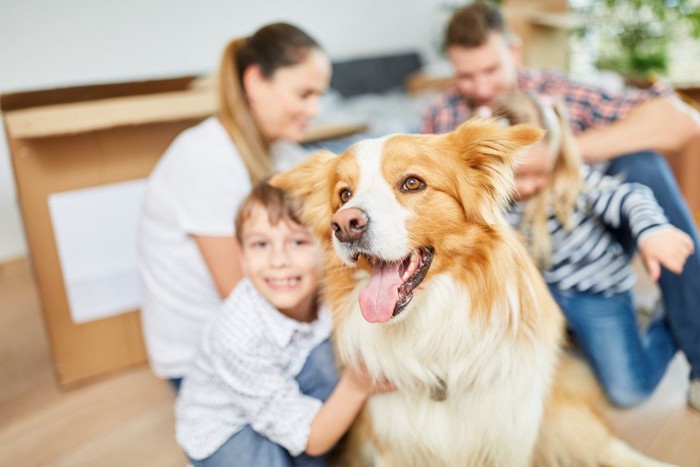 犬とピントがぼやけた家族