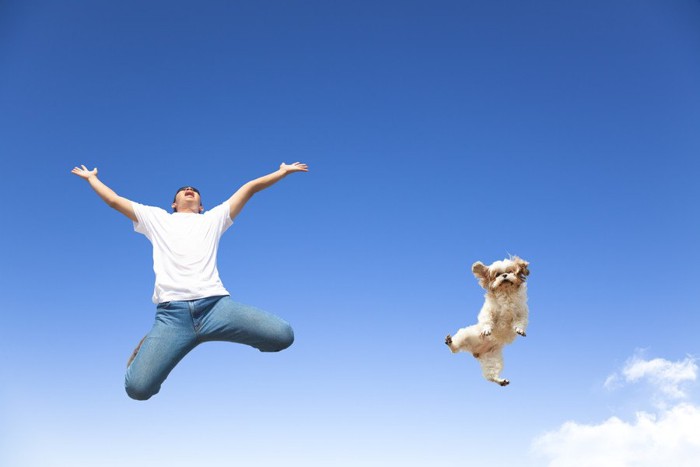 青空でジャンプする犬と男性