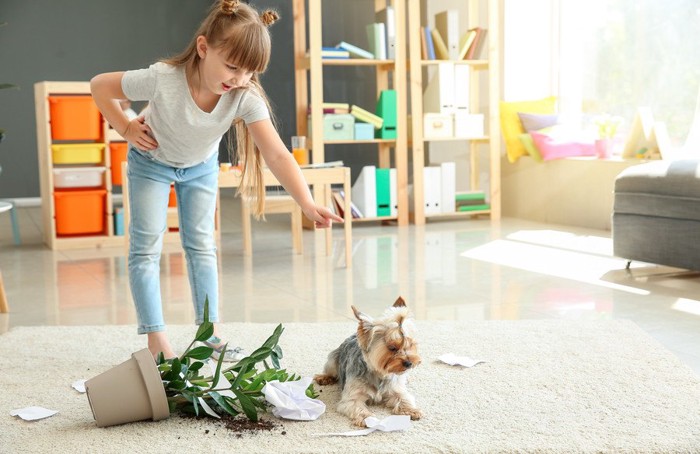 植木鉢を倒した犬を怒る女の子