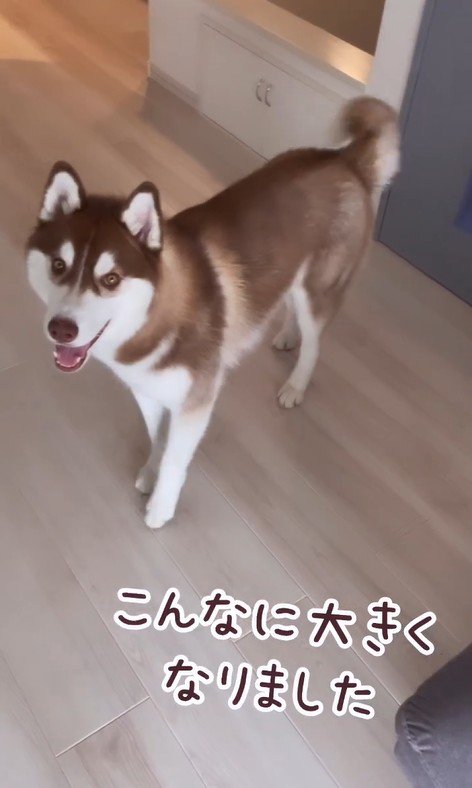 るい君の成長記録⑩