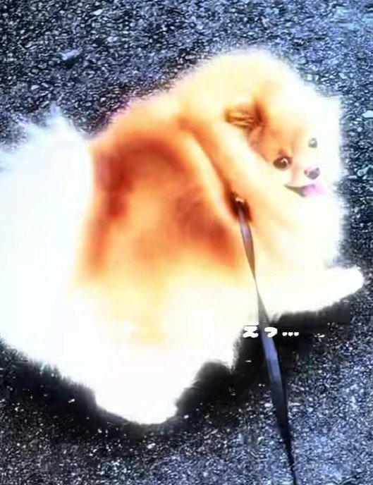 「まさか動物病院…？」