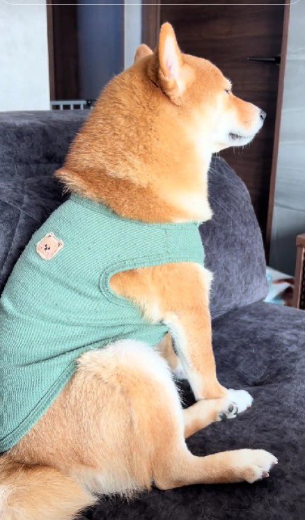 眠気と戦う大吉くん