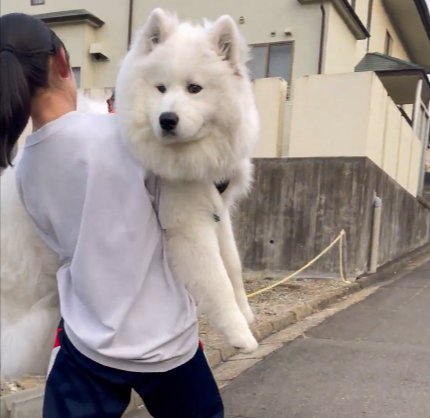 心の中は