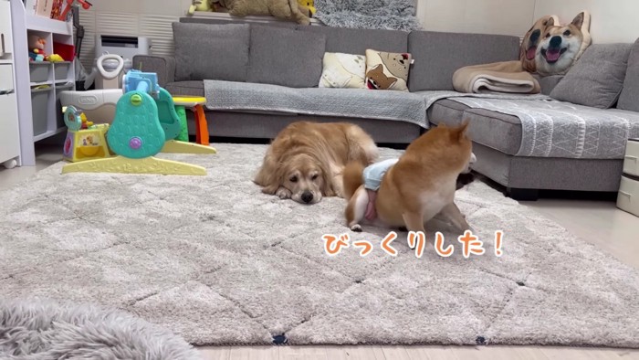 うにくんはびっくり！