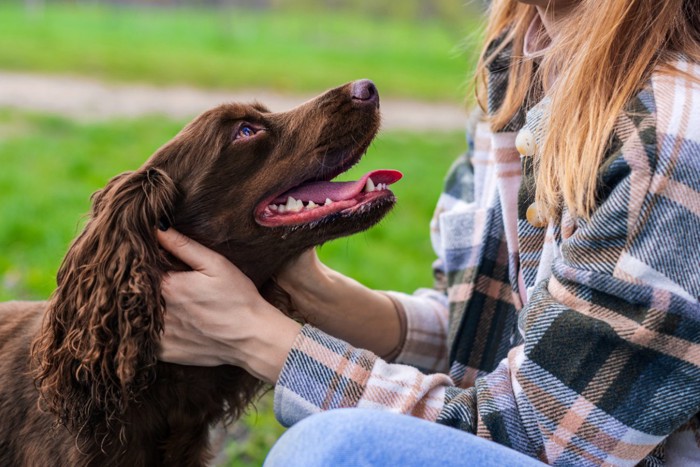 女性に撫でてもらう犬