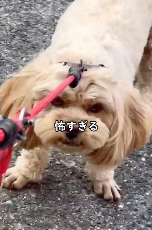 「なに笑ってる！！」