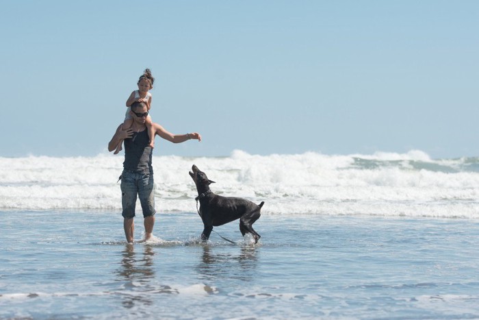 海で遊ぶ親子と犬