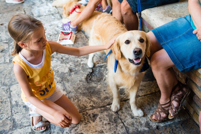 子供に触られている犬