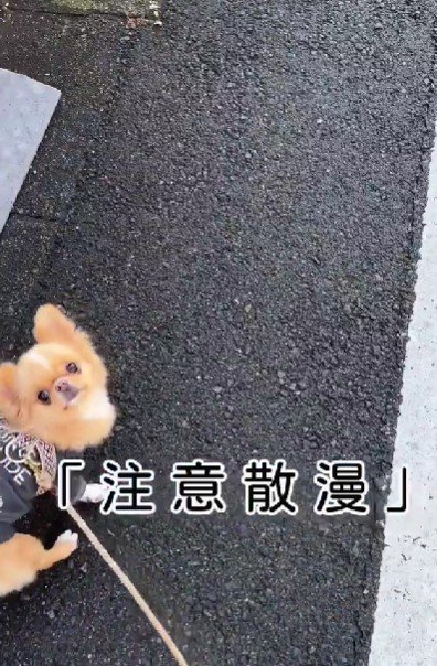 「なんか色々気になるんだよね～」