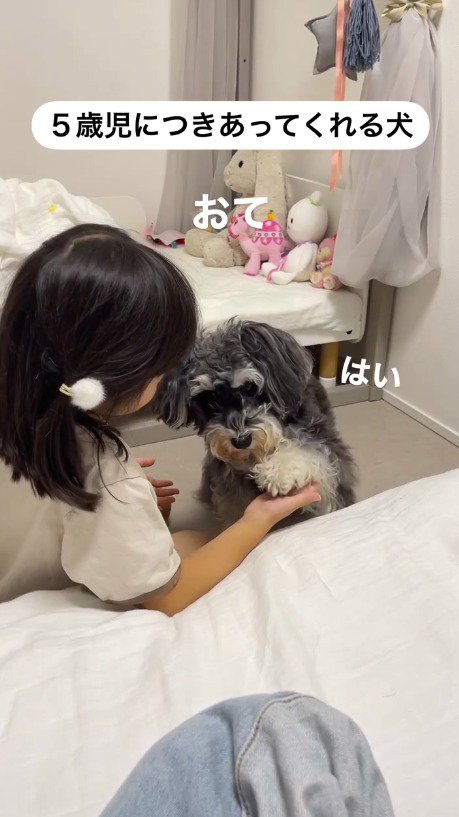 女の子に再びお手をする犬