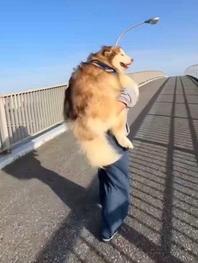 あまりにも大きい…！！