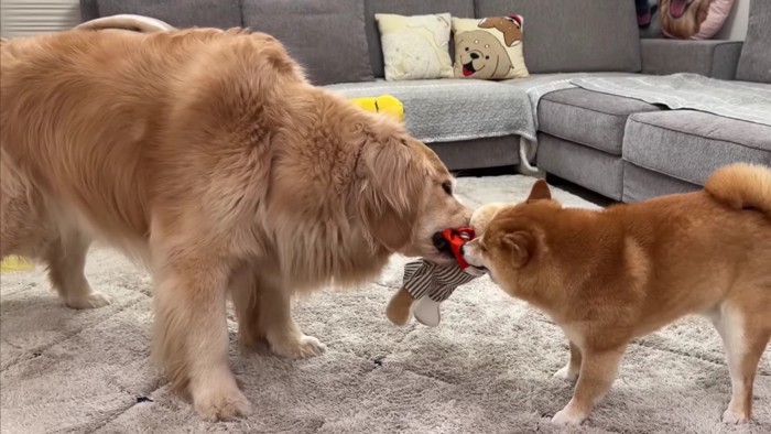 「返さないとダメだよ!!」