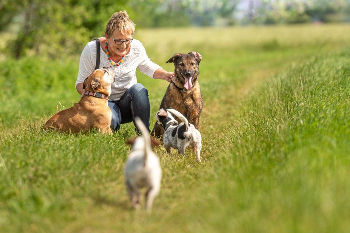 草むらにしゃがむ女性と犬4匹