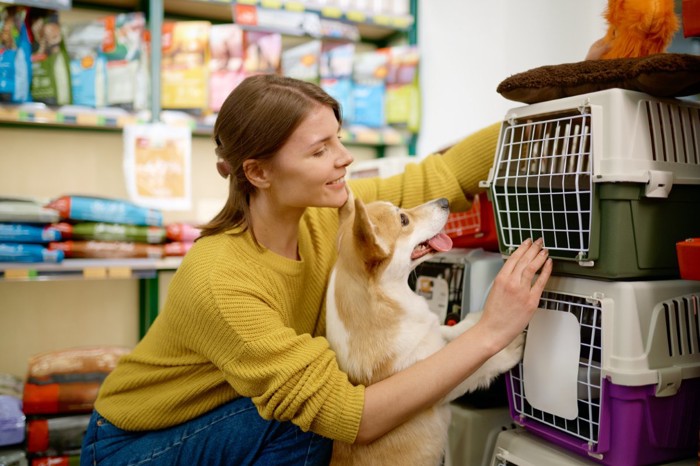 クレートを見る女性と犬