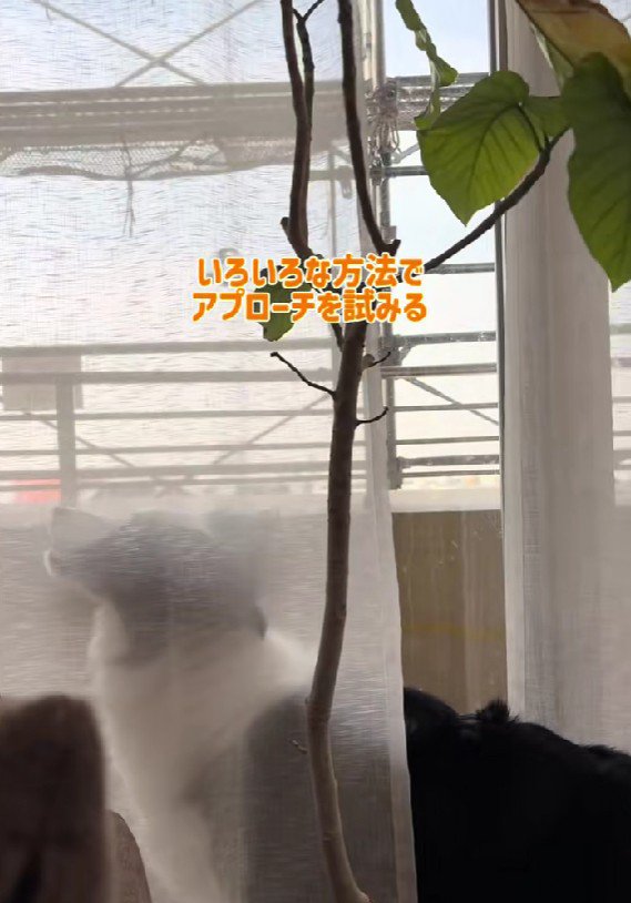 気付いてもらえないから…