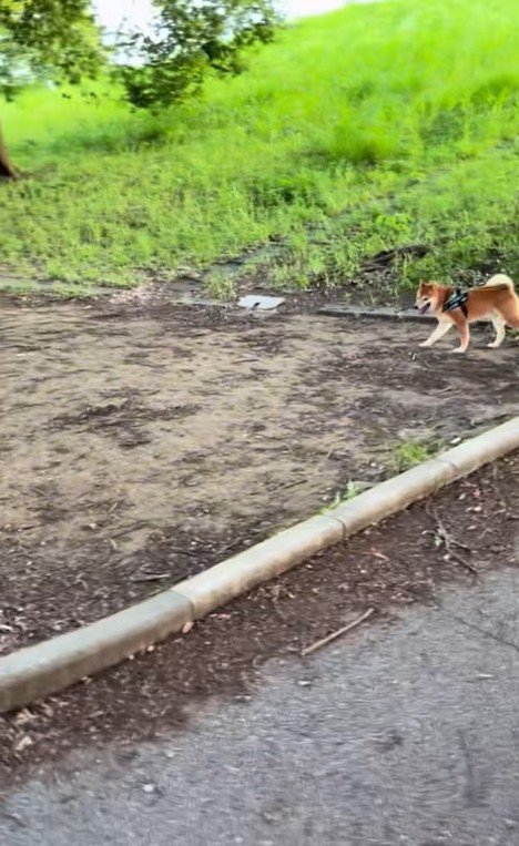 ドッキリに対する福ちゃんの反応2