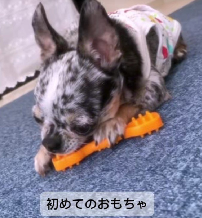 おもちゃって楽しい！