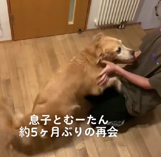 勢いあまって…