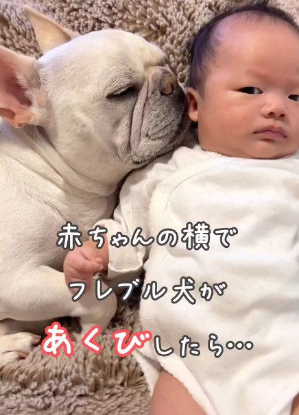 赤ちゃんと添い寝
