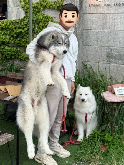 まるで別犬のよう!?
