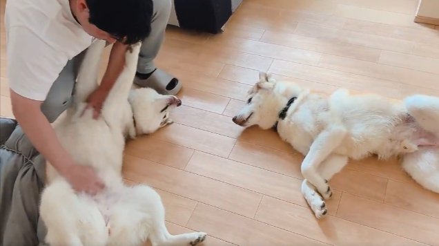 愛おしすぎる