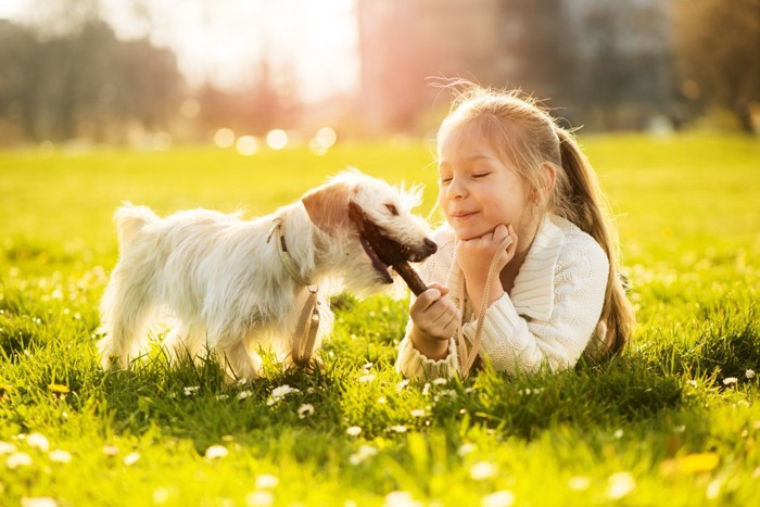 木の枝で遊ぶ犬と小さな女の子