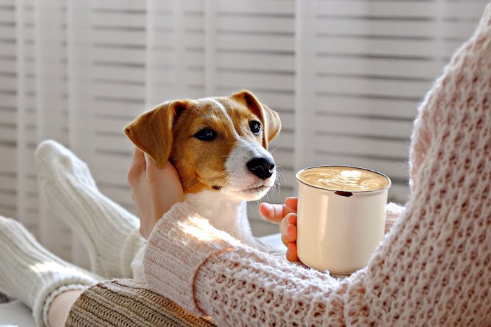 コーヒーを持つ飼い主の手